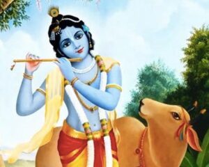 Shrikrishna gopal